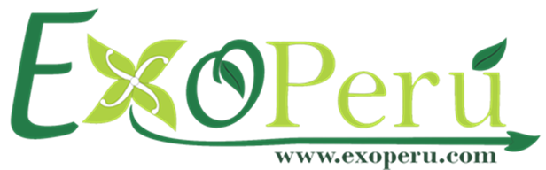 Logo EXO PERU